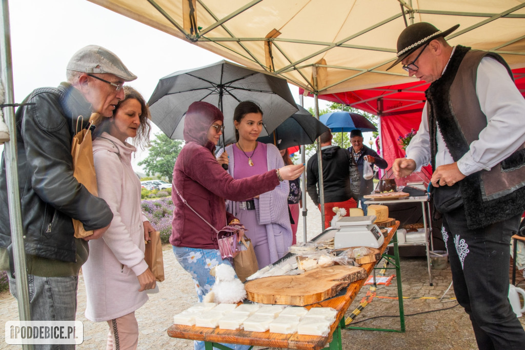 XII edycja Festiwalu Lawendy w Uniejowie
