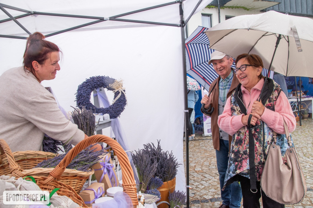 XII edycja Festiwalu Lawendy w Uniejowie