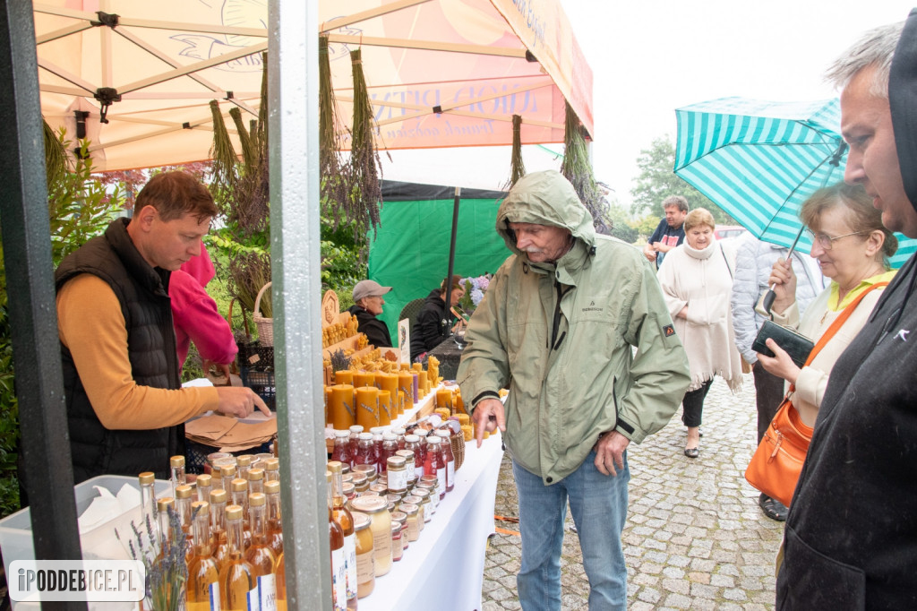 XII edycja Festiwalu Lawendy w Uniejowie