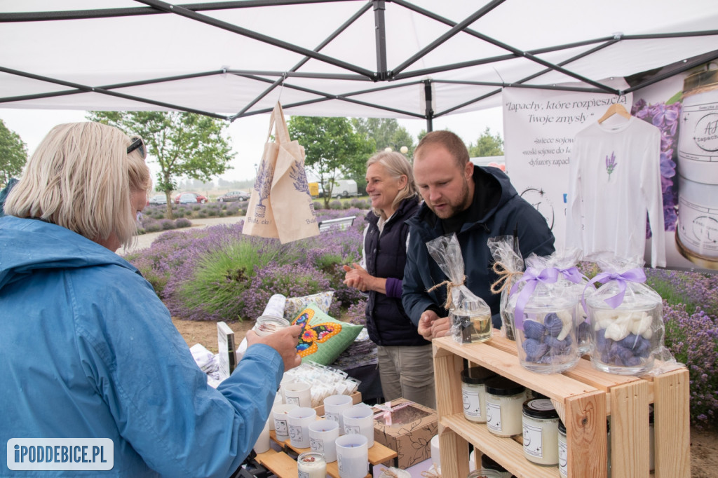 XII edycja Festiwalu Lawendy w Uniejowie