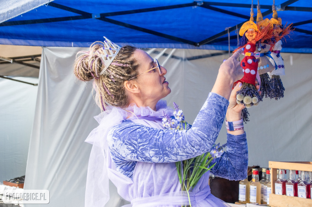XII edycja Festiwalu Lawendy w Uniejowie