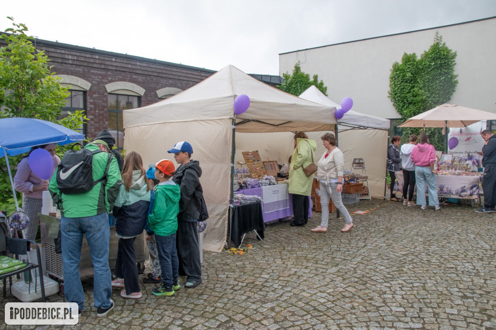 XII edycja Festiwalu Lawendy w Uniejowie