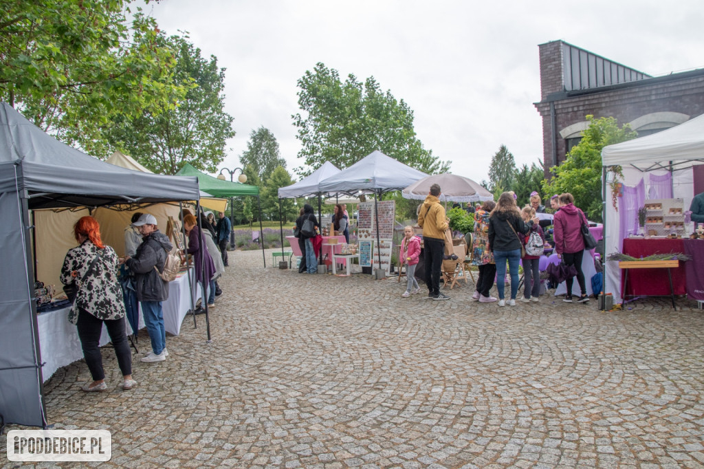 XII edycja Festiwalu Lawendy w Uniejowie