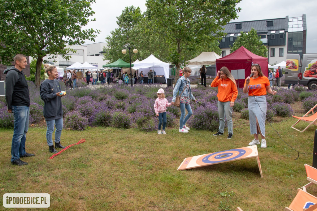 XII edycja Festiwalu Lawendy w Uniejowie
