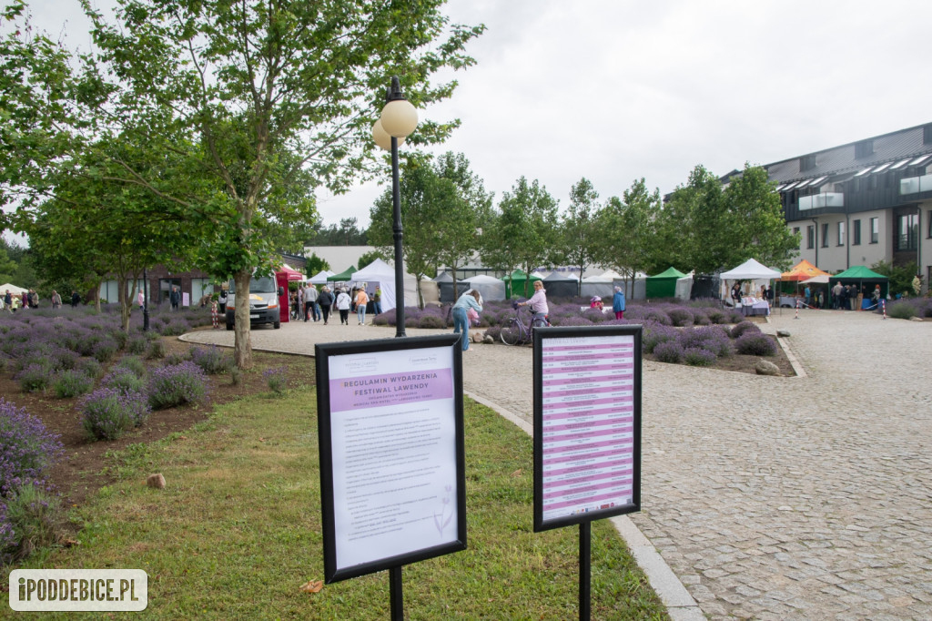 XII edycja Festiwalu Lawendy w Uniejowie