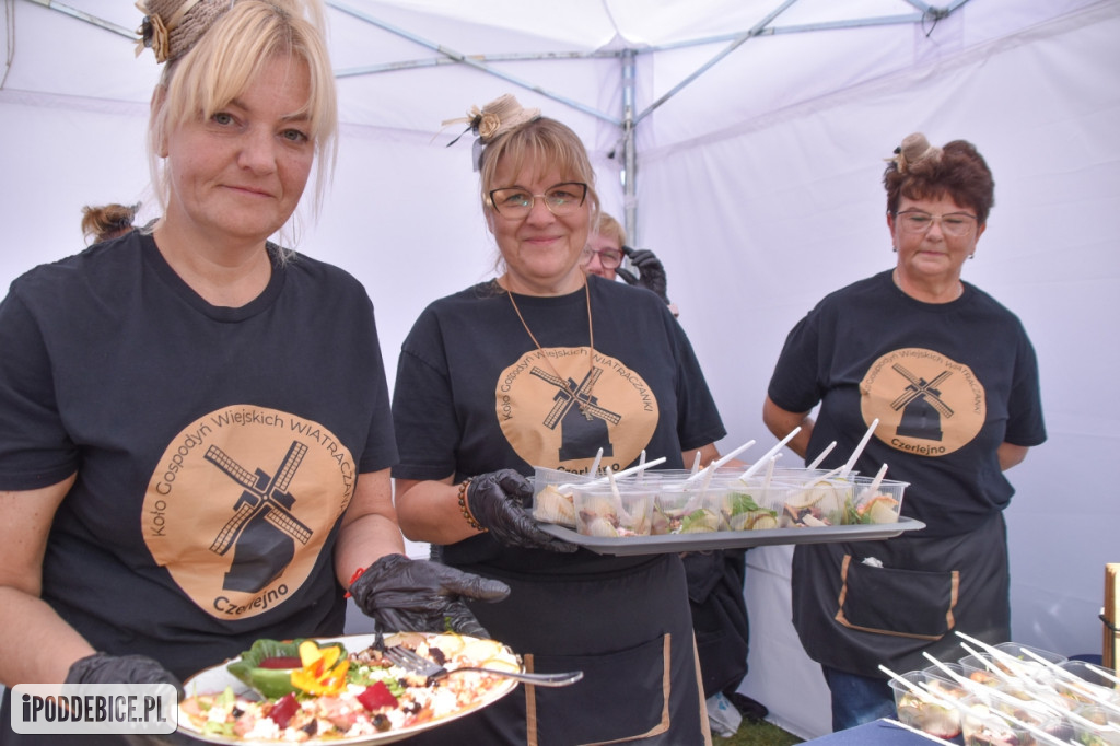 III Festiwal Drobiu trwa w Uniejowie. Degustacje, atrakcje i koncerty [FOTO]