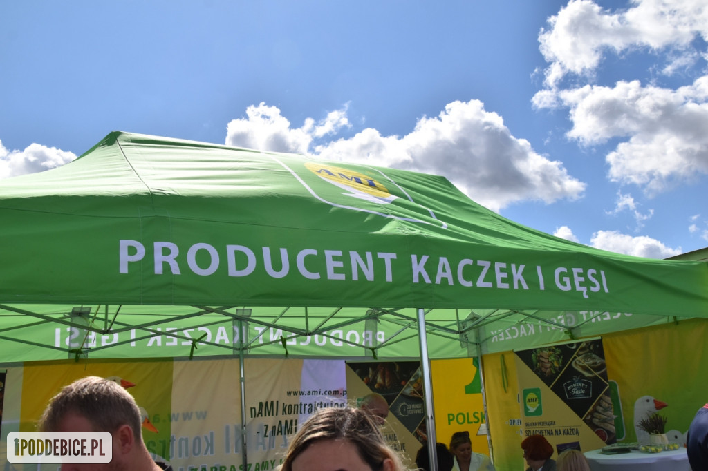 III Festiwal Drobiu trwa w Uniejowie. Degustacje, atrakcje i koncerty [FOTO]