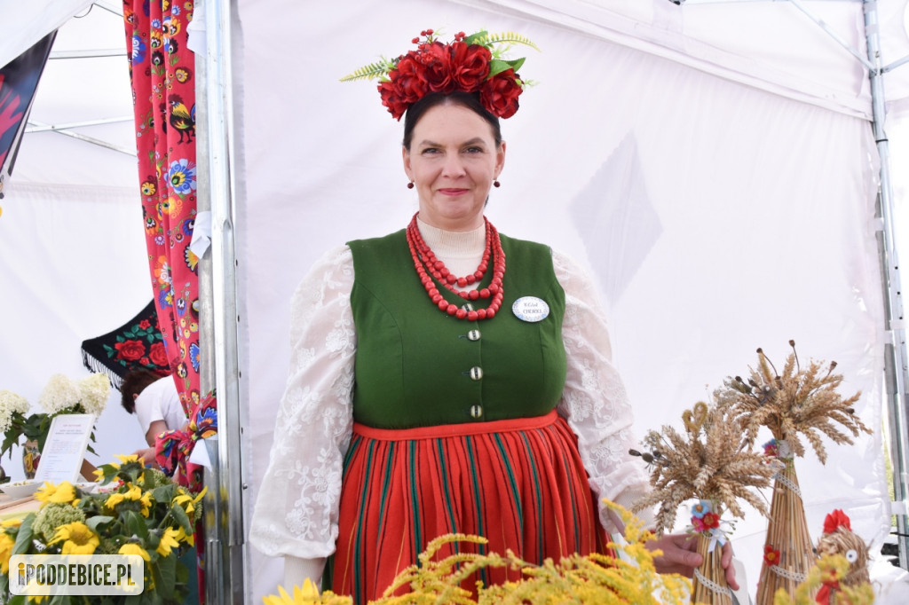 III Festiwal Drobiu trwa w Uniejowie. Degustacje, atrakcje i koncerty [FOTO]