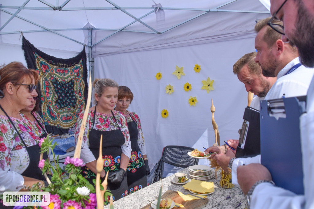 III Festiwal Drobiu trwa w Uniejowie. Degustacje, atrakcje i koncerty [FOTO]