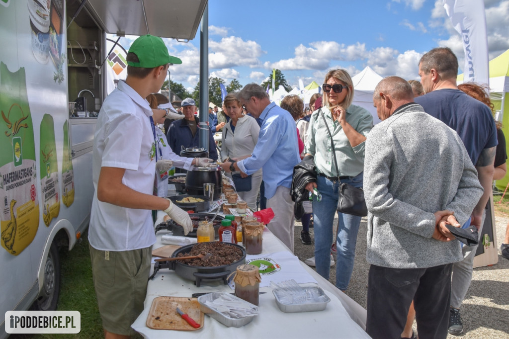 III Festiwal Drobiu trwa w Uniejowie. Degustacje, atrakcje i koncerty [FOTO]
