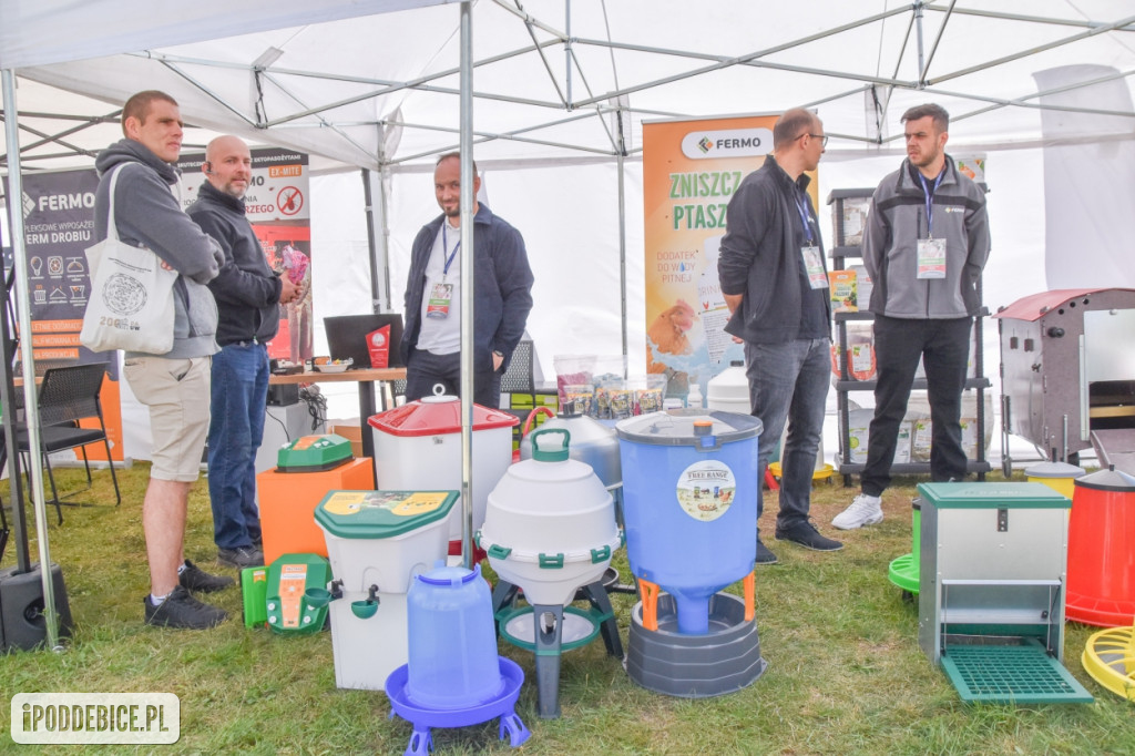 III Festiwal Drobiu trwa w Uniejowie. Degustacje, atrakcje i koncerty [FOTO]