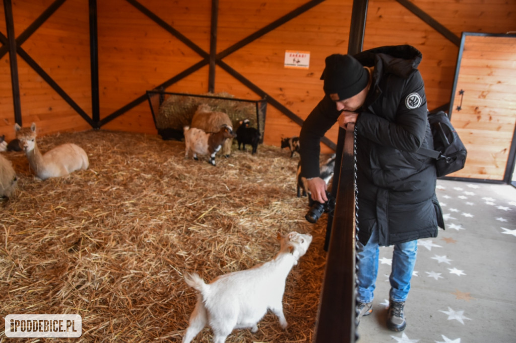 Żywa szopka bożonarodzeniowa w Zoo Borysew