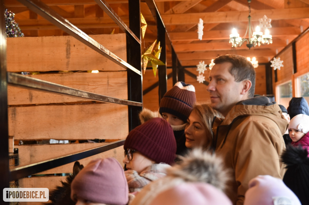 Żywa szopka bożonarodzeniowa w Zoo Borysew