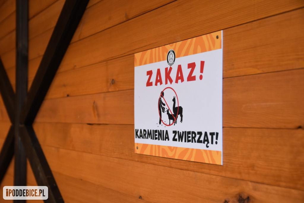 Żywa szopka bożonarodzeniowa w Zoo Borysew