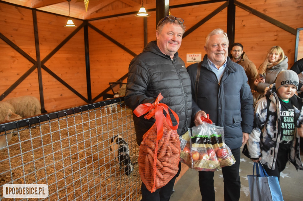 Żywa szopka bożonarodzeniowa w Zoo Borysew