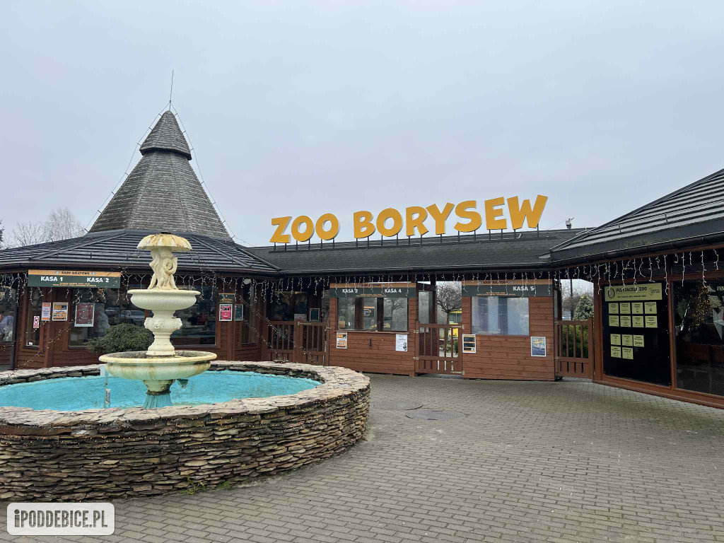 Żywa szopka bożonarodzeniowa w Zoo Borysew