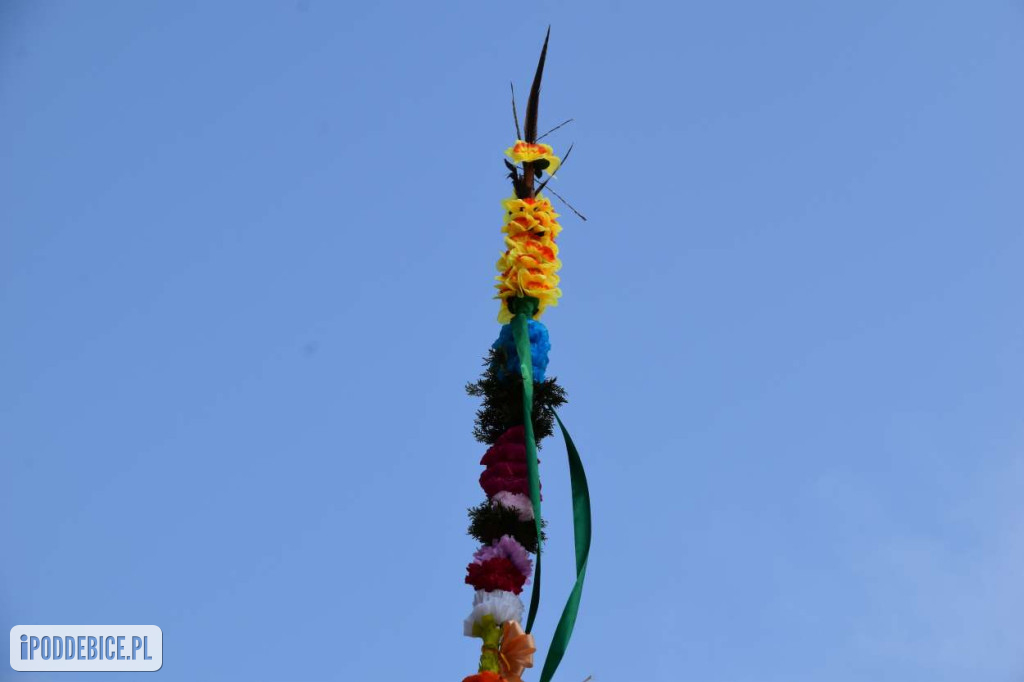 Osiem metrów tradycji. Olbrzymie palmy wielkanocne