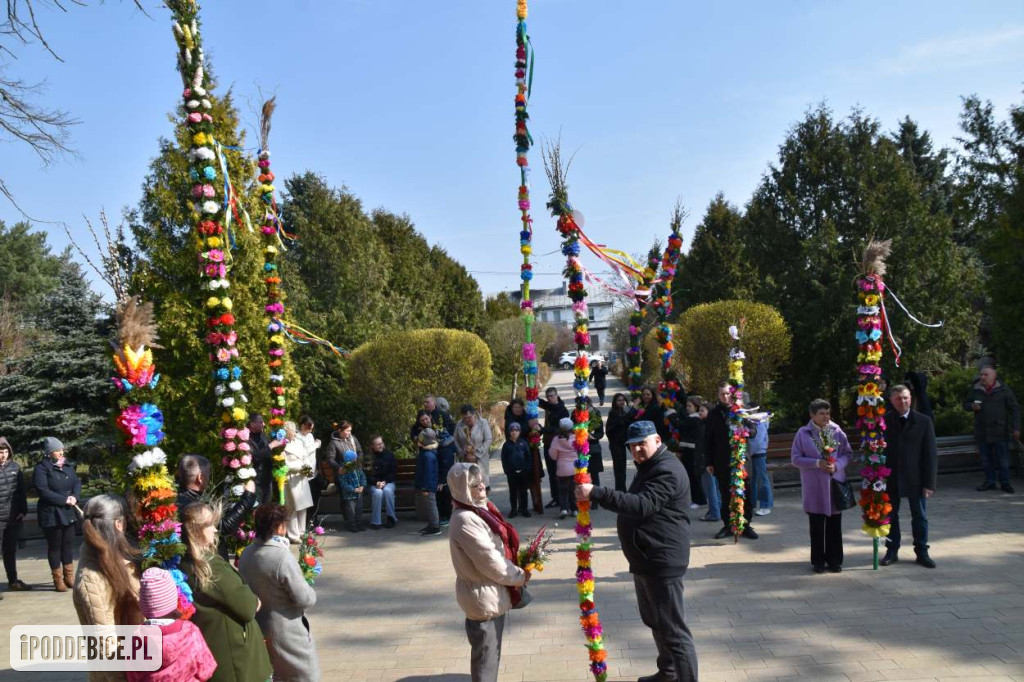 Osiem metrów tradycji. Olbrzymie palmy wielkanocne