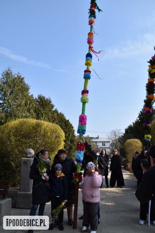 Osiem metrów tradycji. Olbrzymie palmy wielkanocne