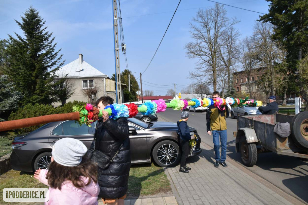 Osiem metrów tradycji. Olbrzymie palmy wielkanocne