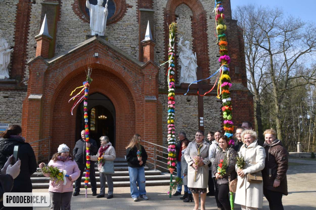 Osiem metrów tradycji. Olbrzymie palmy wielkanocne