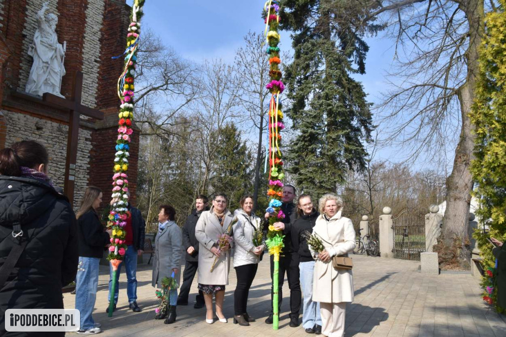 Osiem metrów tradycji. Olbrzymie palmy wielkanocne