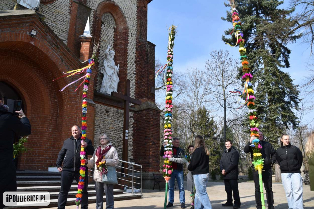 Osiem metrów tradycji. Olbrzymie palmy wielkanocne