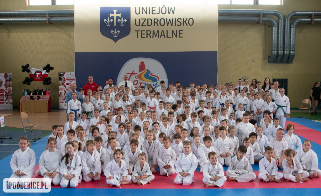 Turniej Małego Karateki