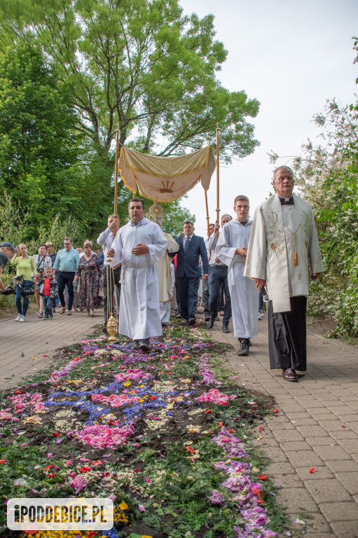 Tak wyglądały kwietne dywany
