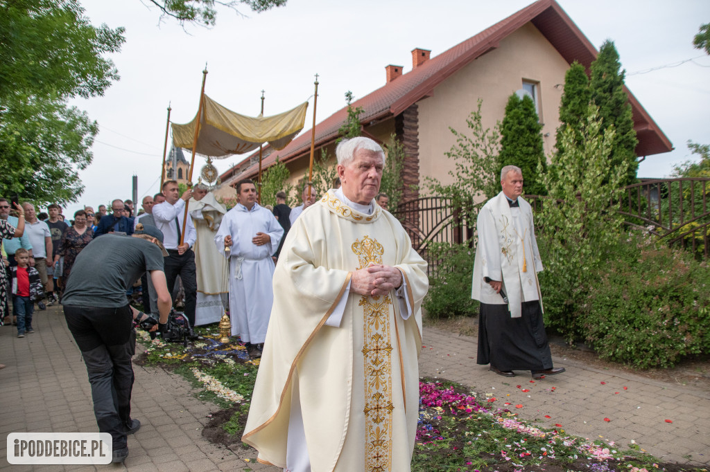 Tak wyglądały kwietne dywany