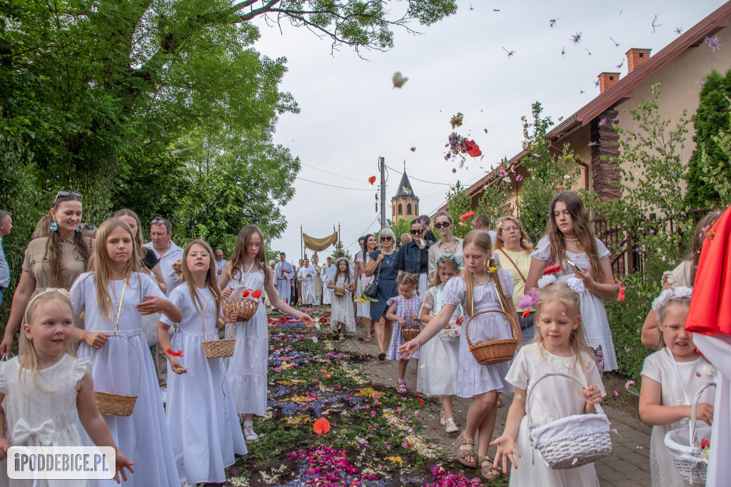 Tak wyglądały kwietne dywany
