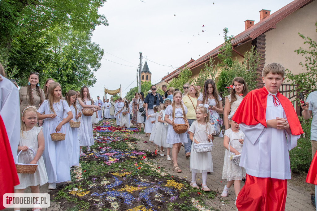 Tak wyglądały kwietne dywany