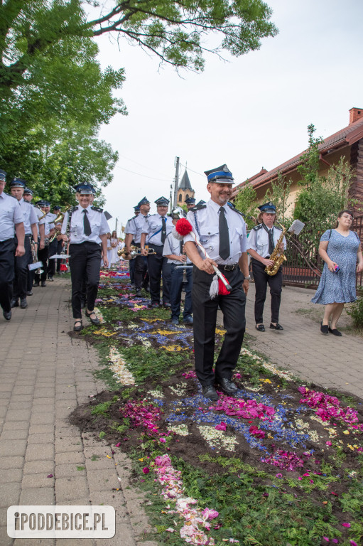 Tak wyglądały kwietne dywany