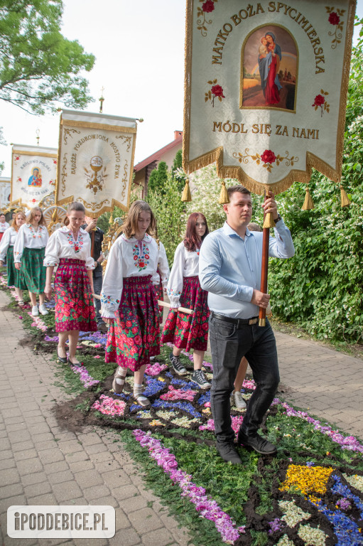Tak wyglądały kwietne dywany