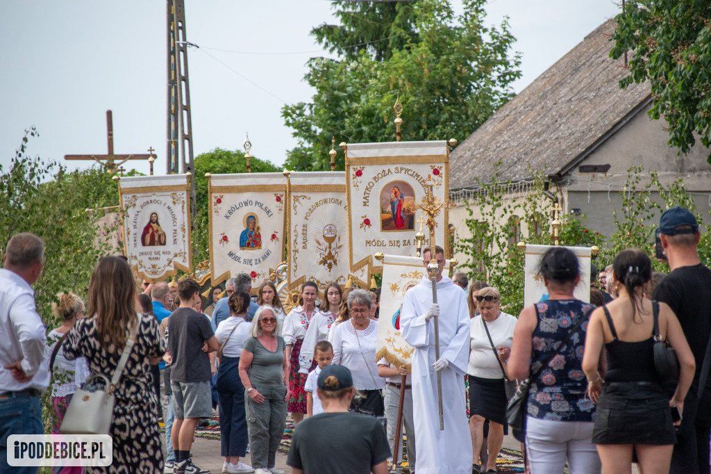 Tak wyglądały kwietne dywany