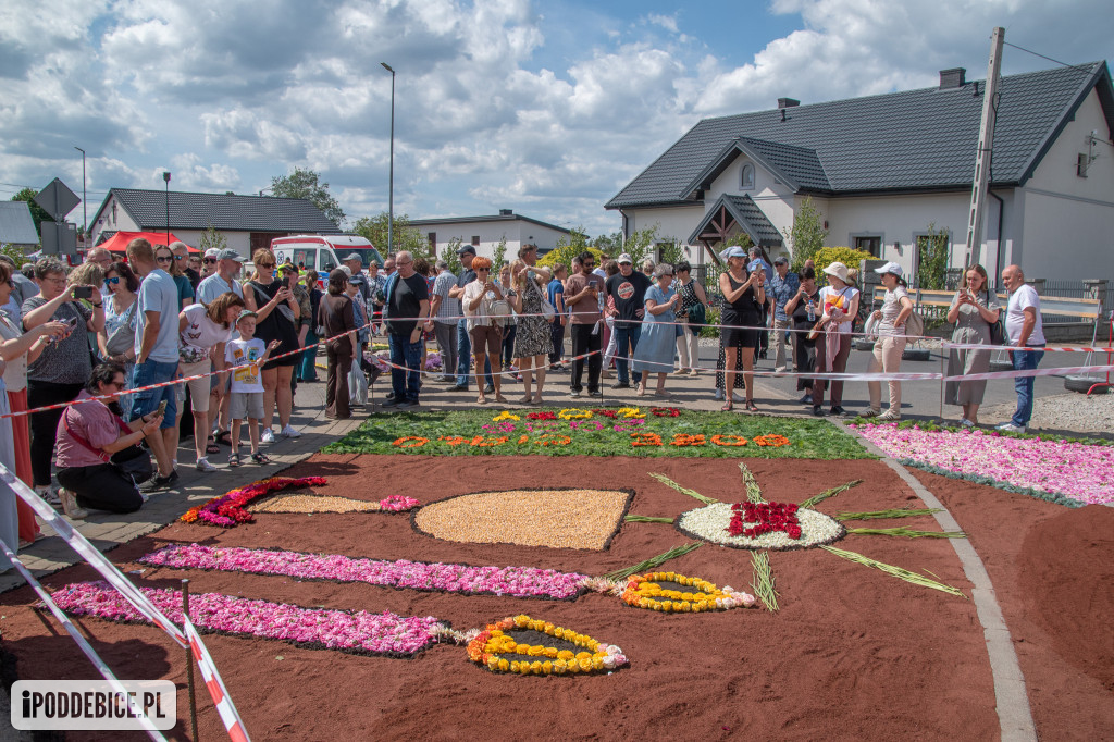Tak wyglądały kwietne dywany