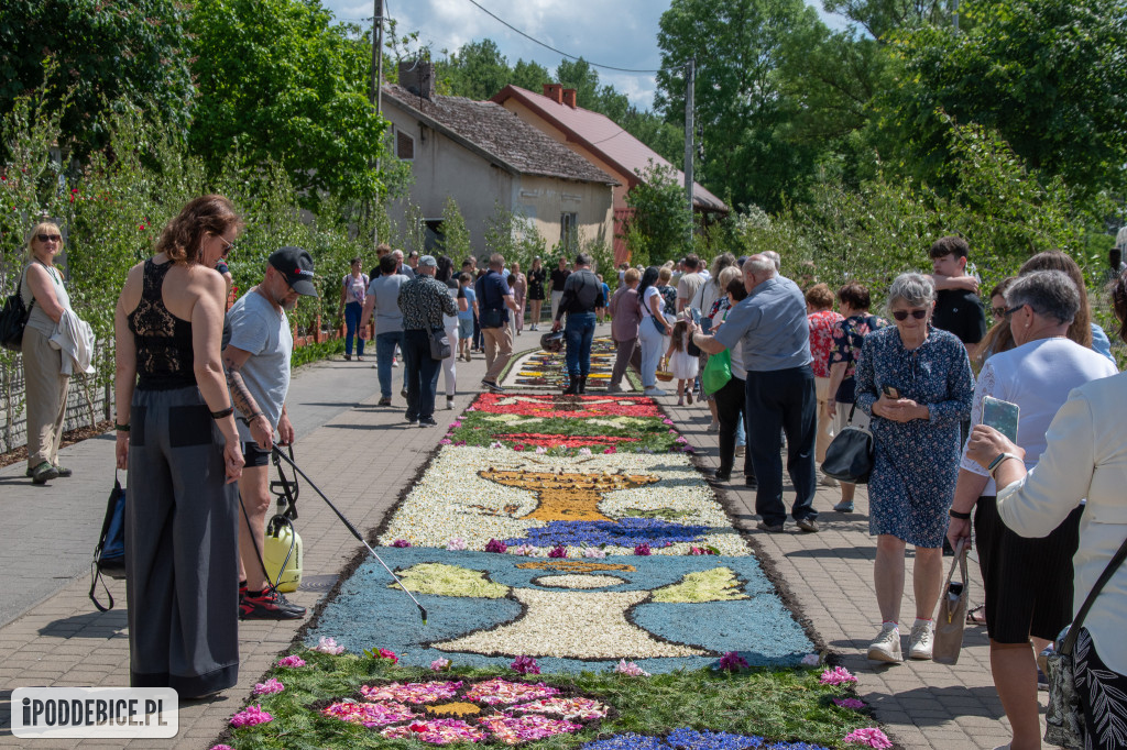 Tak wyglądały kwietne dywany