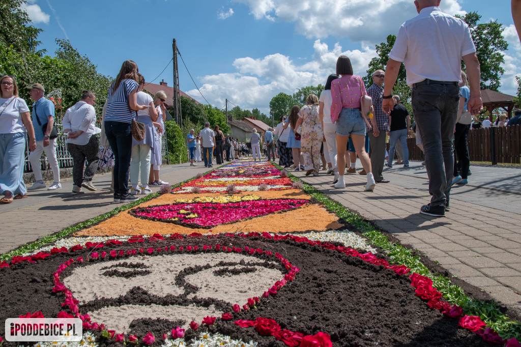 Tak wyglądały kwietne dywany