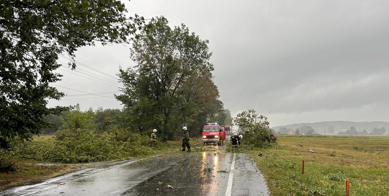 fot. OSP Poświętne/źródło:lodzkie.pl