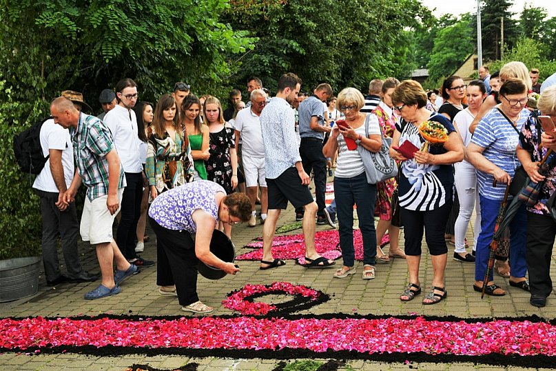 Kwietne dywany w Spycimierzu