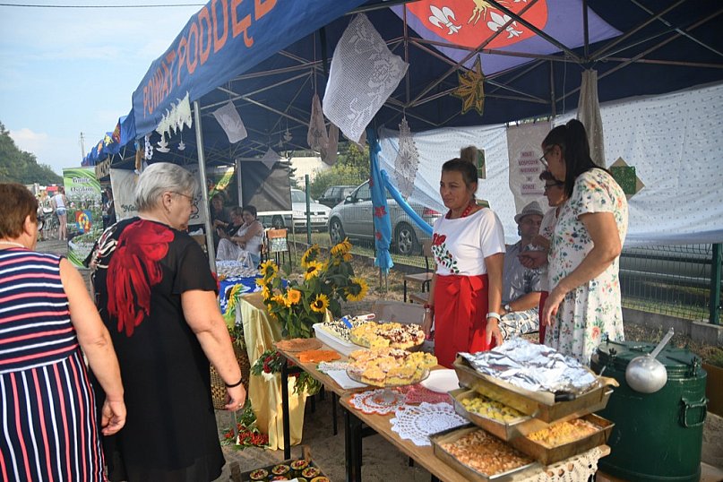 Powiatowy Piknik Rodzinny w Poddębicach