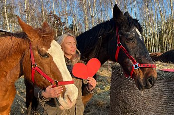 Walentynki w Ktosiowie, czyli azyl dla koni-102