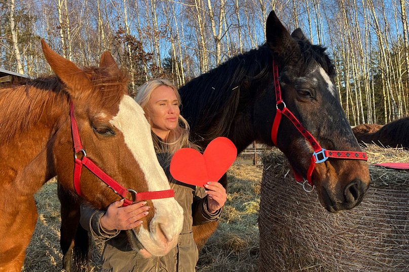 Walentynki w Ktosiowie, czyli azyl dla koni