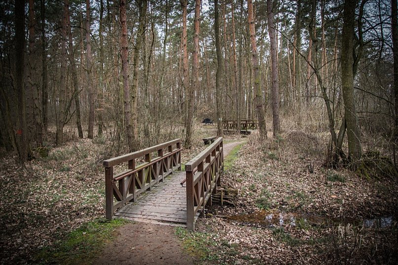 Gdzie na spacer w okolicy? Zobacz to miejsce
