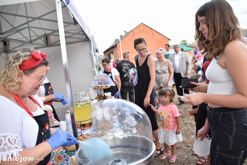 Tak wyglądał piknik rodzinny w Ostrowsku [ZDJĘCIA]