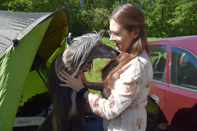 Najpiękniejsze psy na międzynarodowej wystawie w Uniejowie