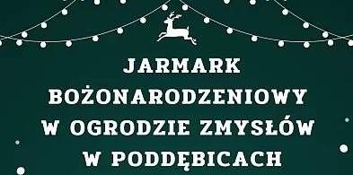 Jarmark Bożonarodzeniowy odbędzie się w Poddębicach-8413