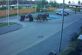 W Poddębicach pijany woźnica przyjechał na policyjny parking [WIDEO]-9778