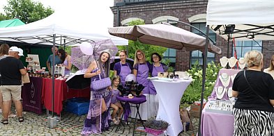 XII Festiwal Lawendy w Uniejowie już wkrótce. Znamy dat-9846