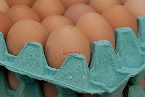 Salmonella na jajach znanej marki. Nie jedz, jeśli masz je w lodówce!-10027